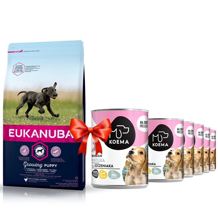 Karmy suche dla psa - Eukanuba Growing Puppy Large & Giant Breed
