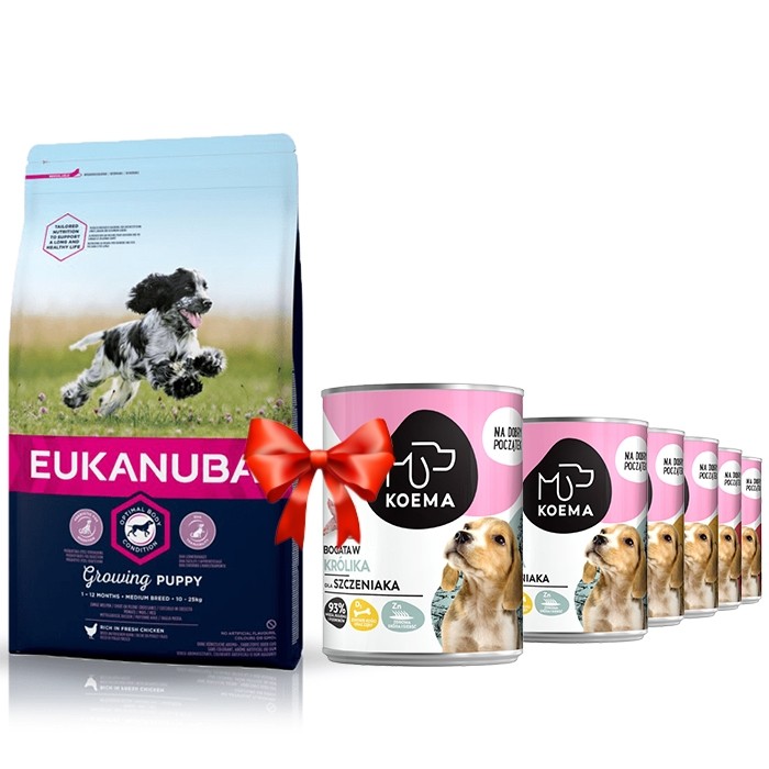 Karmy suche dla psa - Eukanuba Puppy & Junior Medium Breed