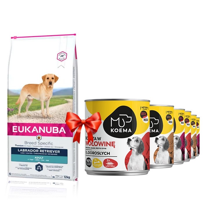 Karmy suche dla psa - Eukanuba Breed Specific Labrador Retriever Adult