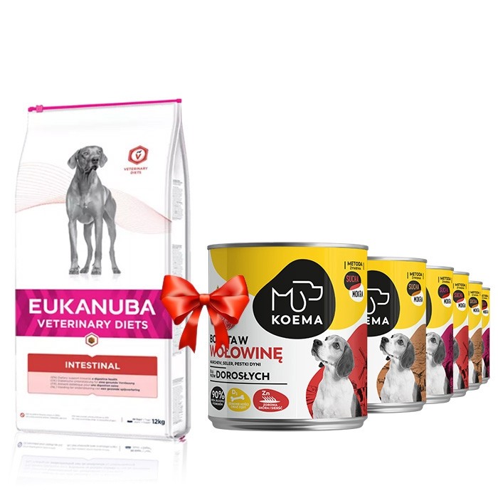 Karmy suche dla psa - Eukanuba Veterinary Diets Intestinal