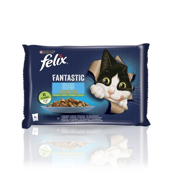 Karmy mokre dla kota - Felix Fantastic Adult w galaretce łosoś i pstrąg z warzywami 85g x 4 (multipak)