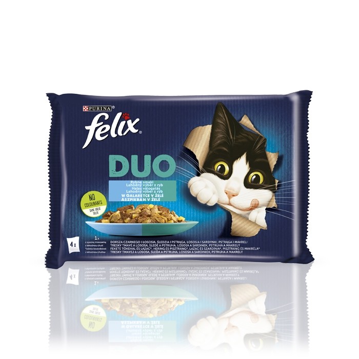Karmy mokre dla kota - Felix Fantastic Duo Rybne Smaki 85g x 4 (multipak)