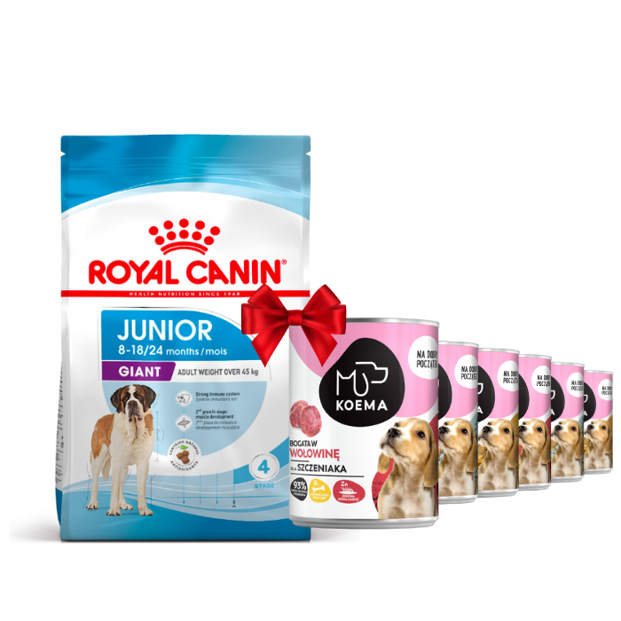 Karmy suche dla psa - Royal Canin Giant Junior
