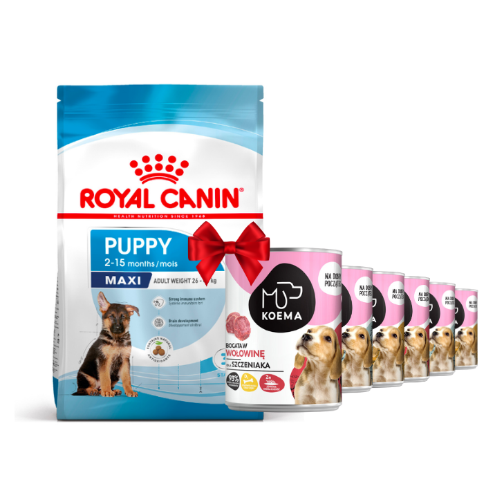 Karmy suche dla psa - Royal Canin Maxi Puppy 15kg + Koema Junior mix 3 smaków 400g x 6