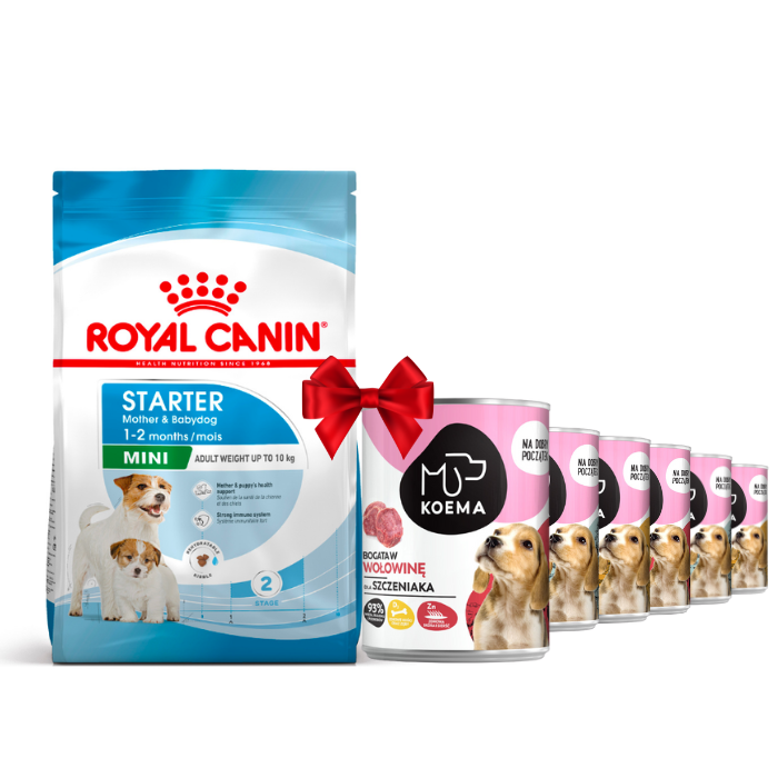Karmy suche dla psa - Royal Canin Mini Starter Mother & Babydog 8kg + Koema Junior mix 3 smaków 400g x 6