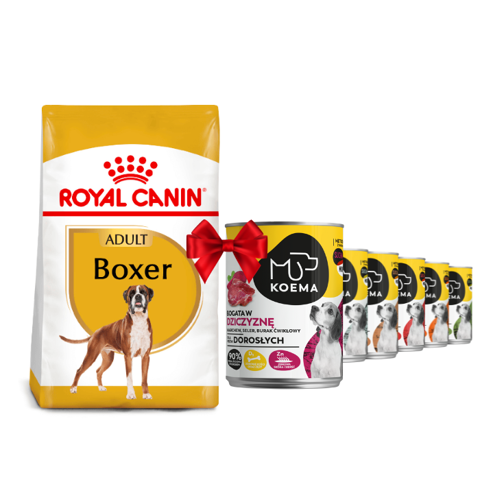 Karmy suche dla psa - Royal Canin Adult Boxer
