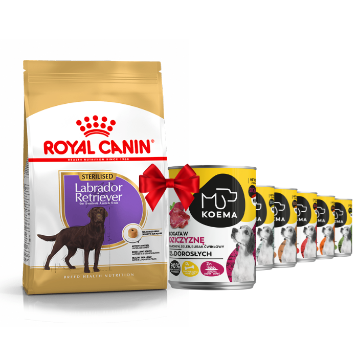 Karmy suche dla psa - Royal Canin Labrador Retriever Sterilised 12kg + Koema 90% mięsa mix 6 smaków 400g x 6