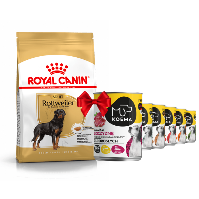 Karmy suche dla psa - Royal Canin Adult Rottweiler