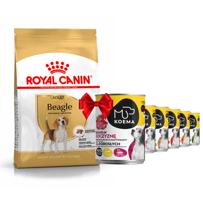 Karmy suche dla psa - Royal Canin Adult Beagle
