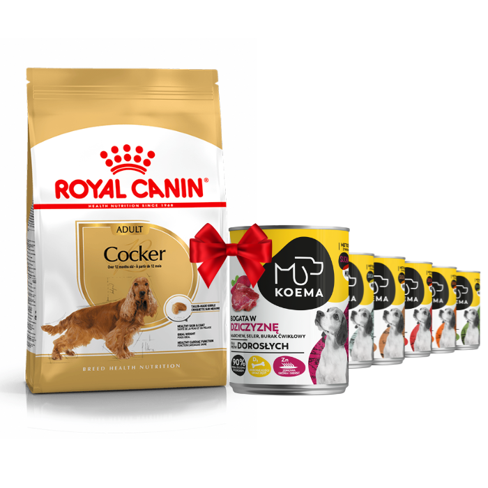 Karmy suche dla psa - Royal Canin Adult Cocker 