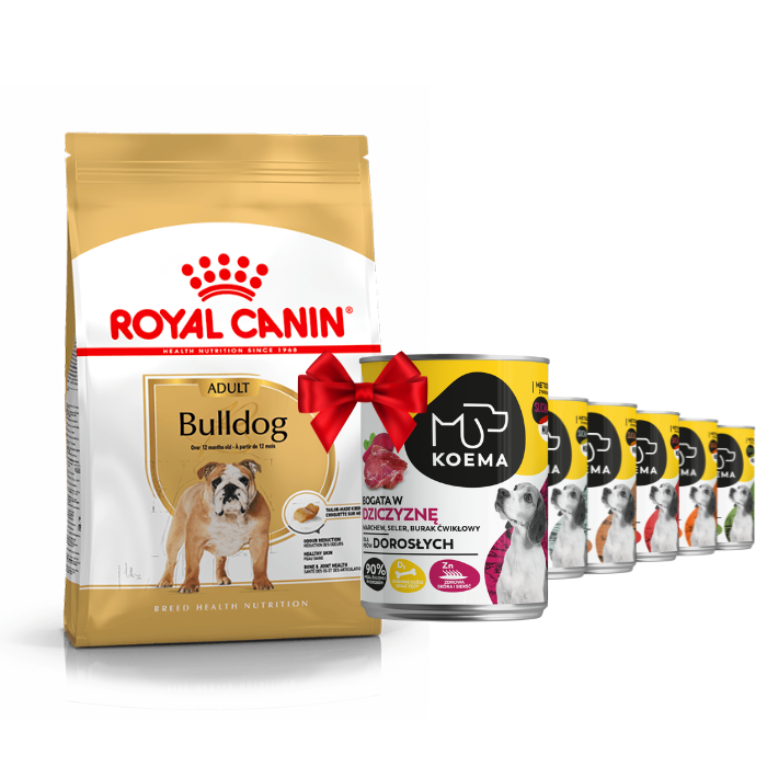 Karmy suche dla psa - Royal Canin Adult Bulldog