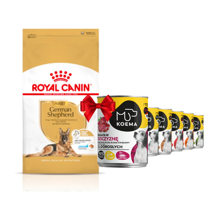 Karmy suche dla psa - Royal Canin Adult 5+ German Shepherd