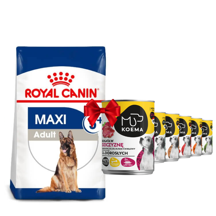 Karmy suche dla psa - Royal Canin Maxi 5+ Adult