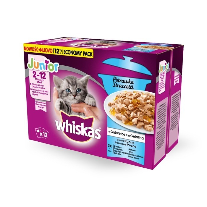Karmy mokre dla kota - Whiskas Junior wybór dań rybnych w galaretce 85g x 12 (multipak x 1)