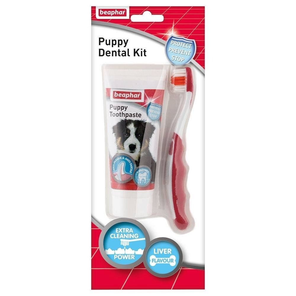 Higiena, pielęgnacja oczu, uszu, zębów - Beaphar Puppy Dental Kit - szczoteczka i pasta do zębów 50g