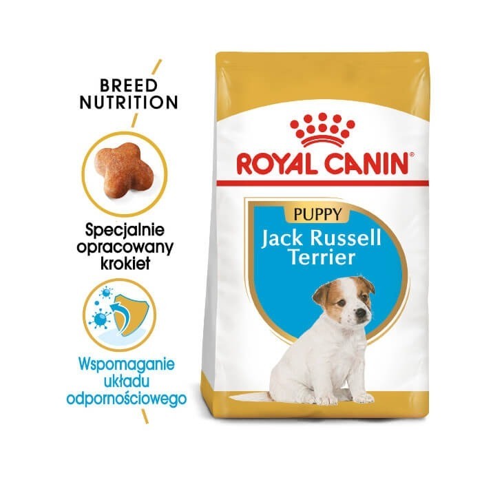 Karmy suche dla psa - Royal Canin Puppy Jack Russell Terrier 