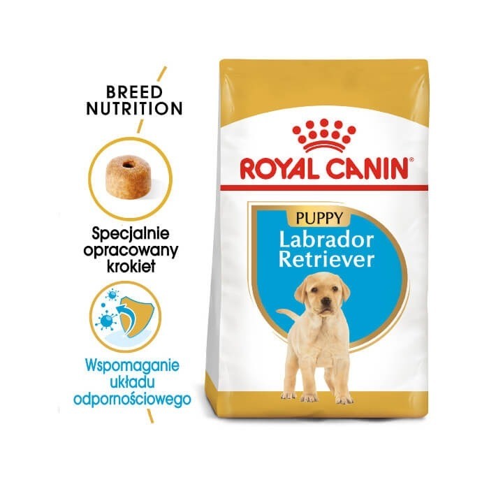 Karmy suche dla psa - Royal Canin Puppy Labrador Retriever 