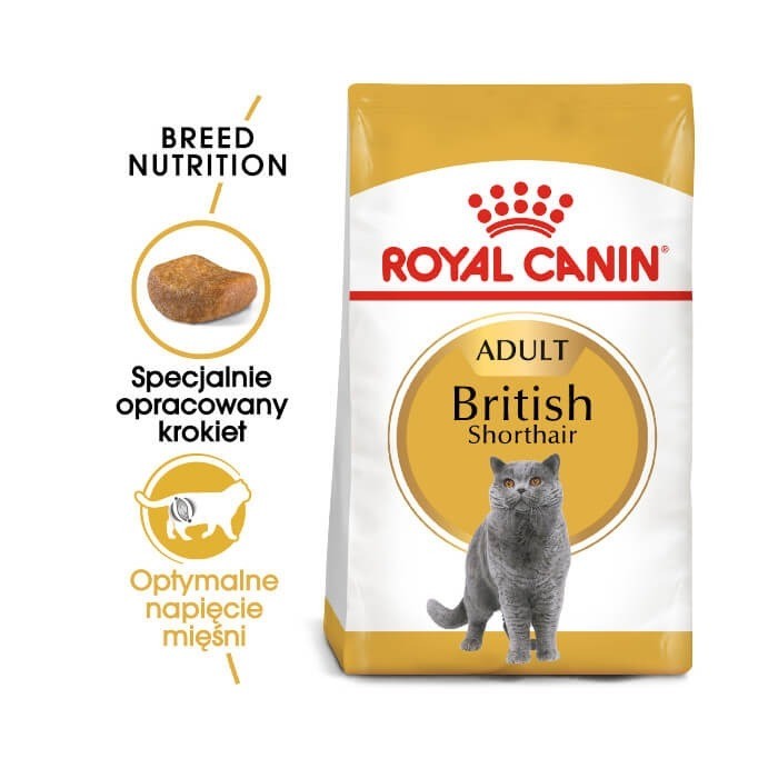 Karmy suche dla kota - Royal Canin British Shorthair karma sucha dla kotów dorosłych rasy brytyjski krótkowłosy 