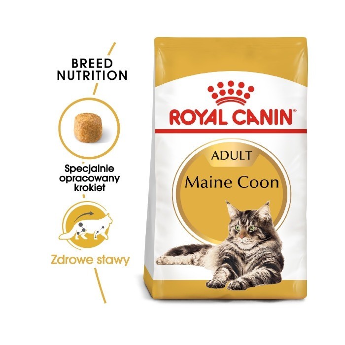 Karmy suche dla kota - Royal Canin Maine Coon  karma sucha dla kotów dorosłych rasy Maine Coon