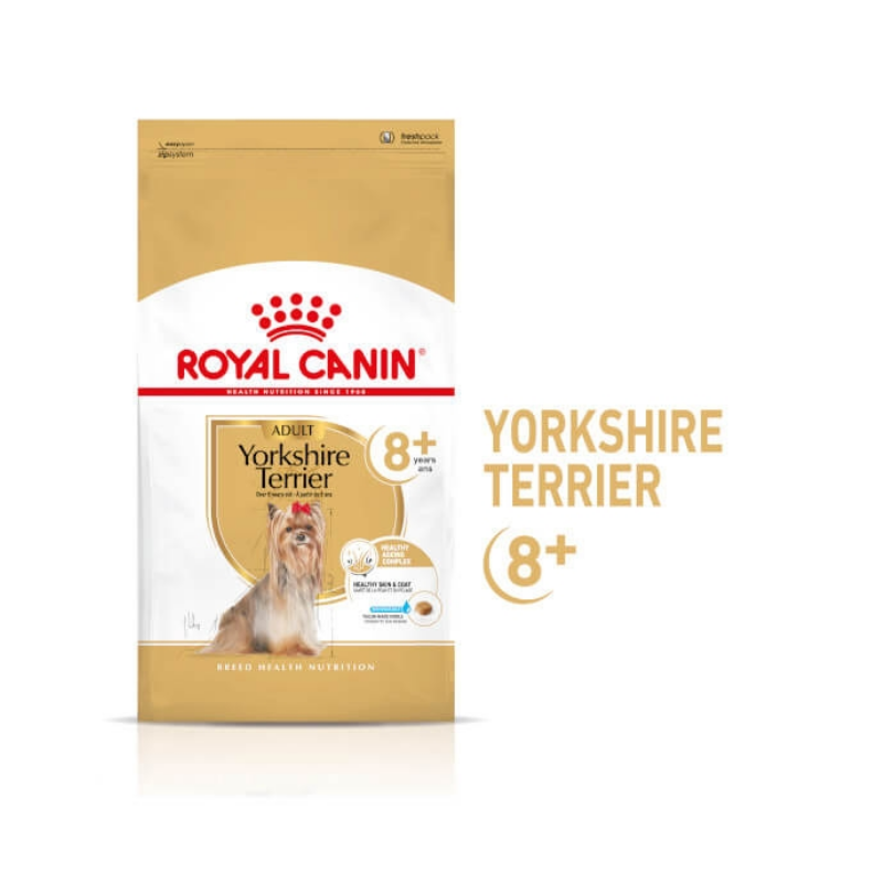 Karmy suche dla psa - Royal Canin Adult 8+ Yorkshire Terrier
