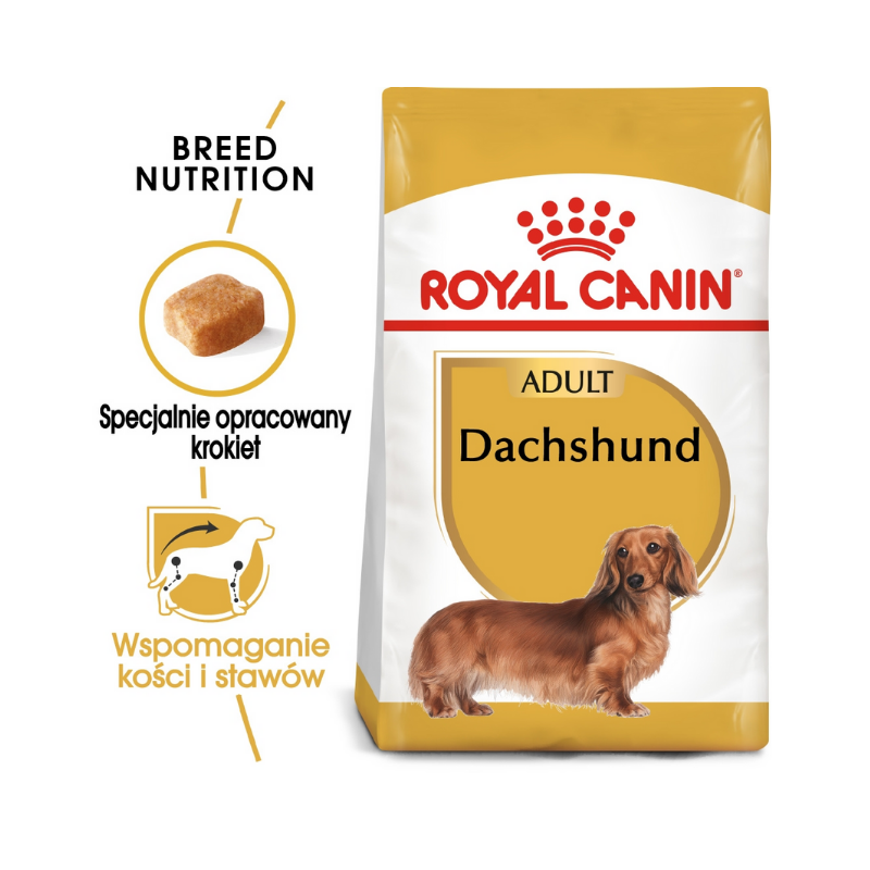 Karmy suche dla psa - Royal Canin Adult Dachshund