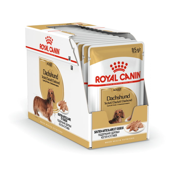 Karmy mokre dla psa - Royal Canin Adult Dachshund saszetka 12x85g