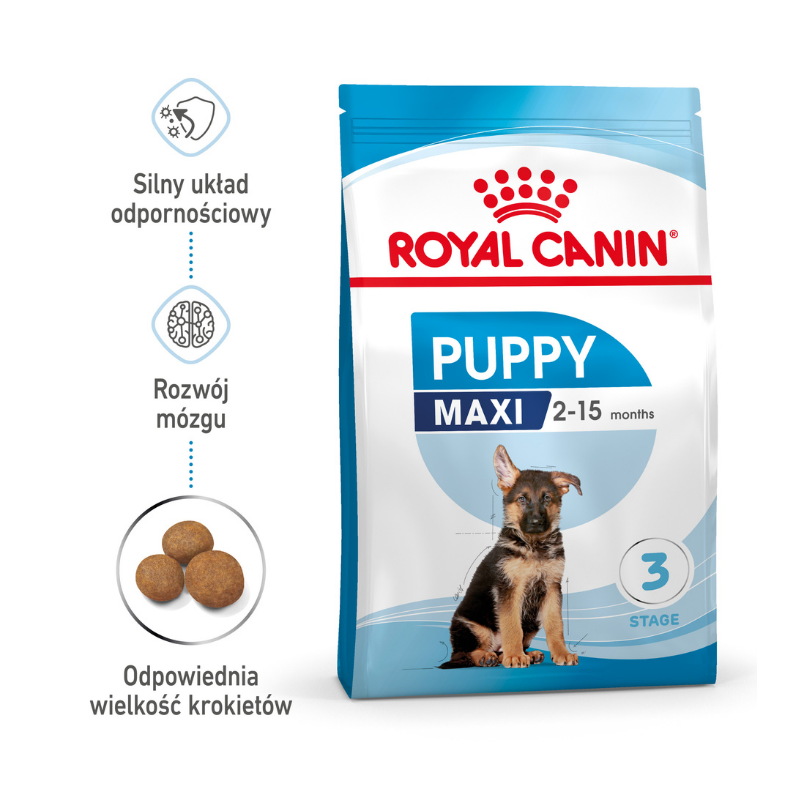Karmy suche dla psa - Royal Canin Maxi Puppy