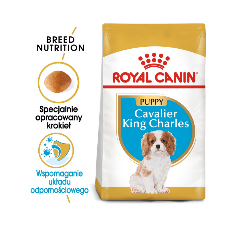 Karmy suche dla psa - Royal Canin Puppy Cavalier King Charles