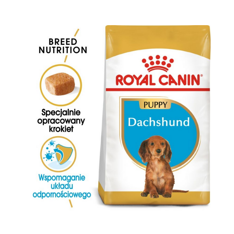 Karmy suche dla psa - Royal Canin Puppy Dachshund