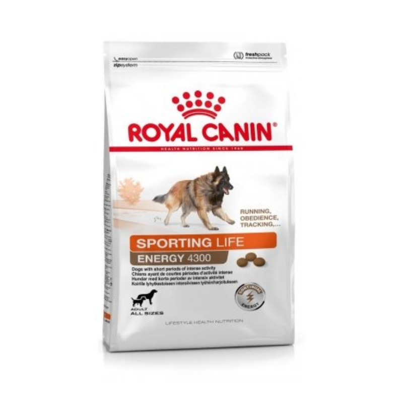 Karmy suche dla psa - Royal Canin Sporting Life Trail Dog 4300