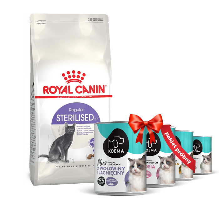 Karmy suche dla kota - Royal Canin Sterilised 37 4kg + Koema mus dla kota Pakiet próbny 400g x 4