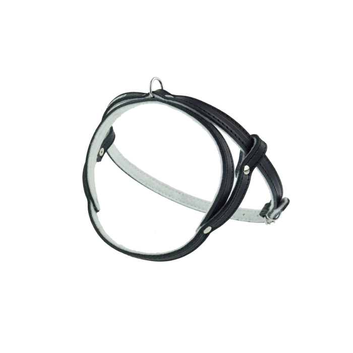 Champion Szelki czarne Smycze, obroże, szelki - Champion Szelki czarne