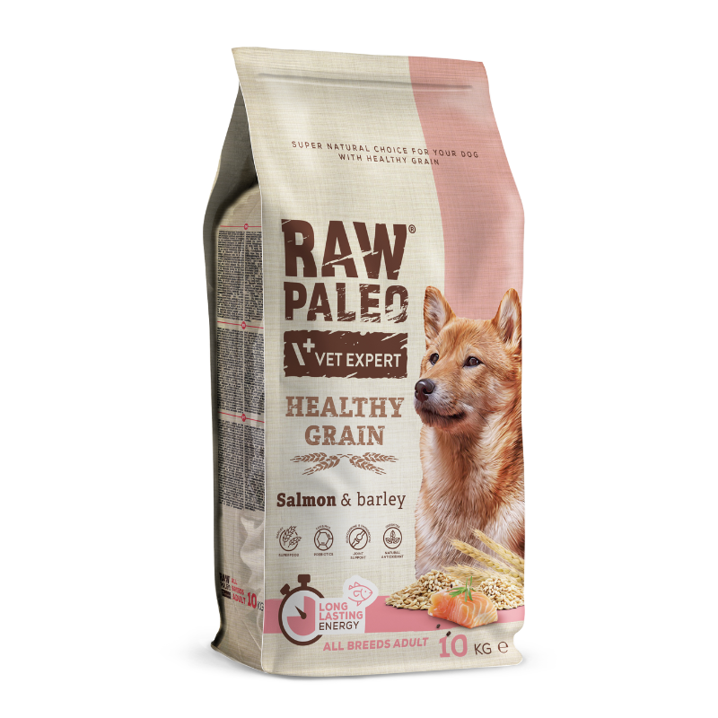 Karmy suche dla psa - Raw Paleo Healthy Grain Adult Salmon