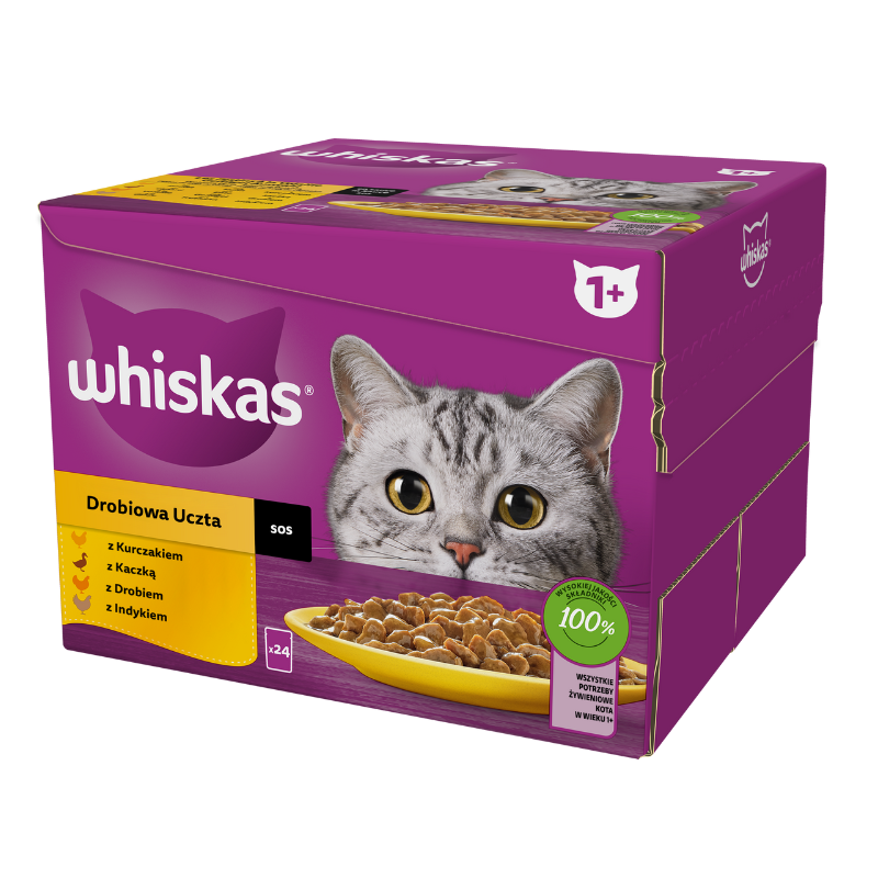 Karmy mokre dla kota - Whiskas Adult Drobiowa Uczta w galaretce 85g x 24 (multipak)