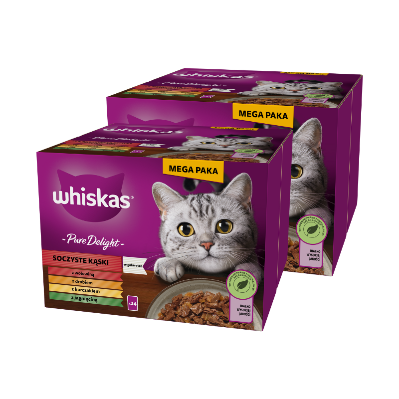 Karmy mokre dla kota - Whiskas Adult Soczyste Kąski w galaretce 85g x 24 (multipak)