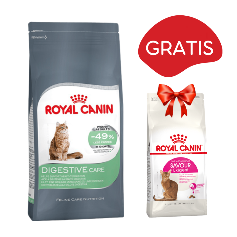 Karmy suche dla kota - Royal Canin Digestive Care FHN
