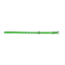 Chaba Obroża skórzana ozdobna zielona