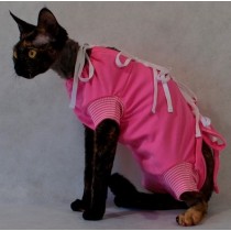 Grande Finale Koszulka pooperacyjna dla kota 25cm