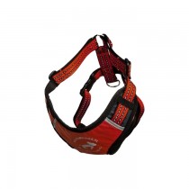 All For Cats Szelki sportowe czerwone