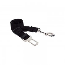 Chaba Pas bezpieczeństwa