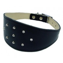 Champion Obroża skórzana CHART 2 45cm