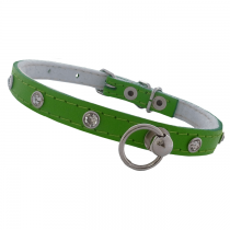 Chaba Obroża skórzana z cyrkonią zielona 10mm/30cm