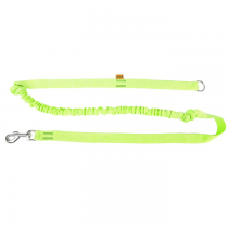 Dingo Smycz taśma do biegania z amortyzatorem uchwyt zielona 170cm