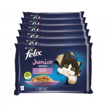 Felix Fantastic Junior w galaretce kurczak i łosoś 85g x 24 (multipak x 6)