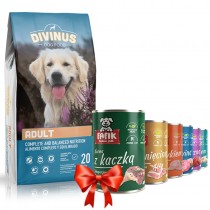Divinus Adult 20kg + Fafik karma mokra mix smaków 6x400g