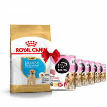 Royal Canin Puppy Labrador Retriever 12kg + Koema Junior mix 3 smaków 400g x 6