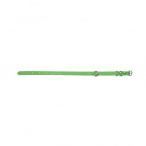 Chaba Obroża skórzana zielona