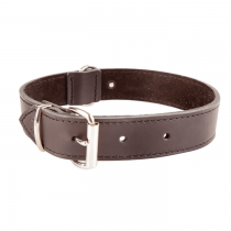 Dingo Obroża skórzana natłuszczana podszyta miekką skórą brązowa