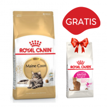 Royal Canin Maine Coon 4kg + Royal Canin Savour Exigent FHN 35/30 400g GRATIS