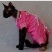 Preparaty lecznicze - Grande Finale Koszulka pooperacyjna dla kota 25cm